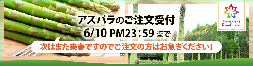 北海道ふらの秋野菜