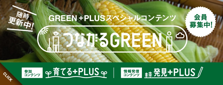 ĤʤGREENƤ+PLUS