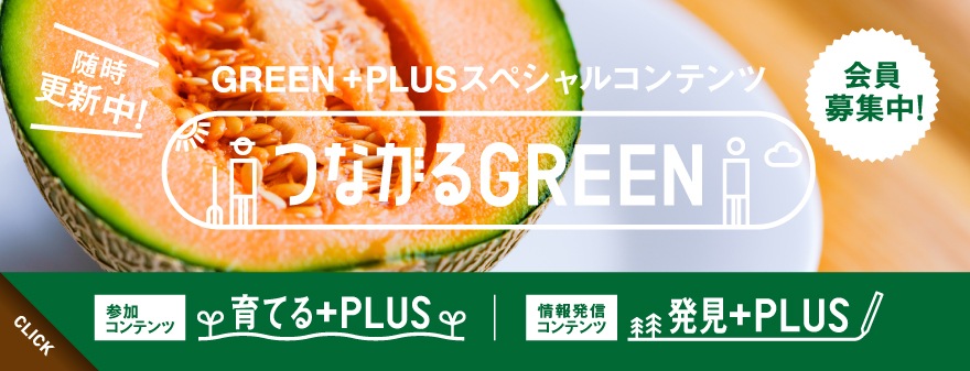 ĤʤGREENƤ+PLUS